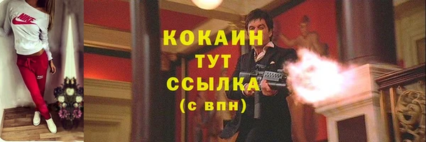 дурь Волоколамск