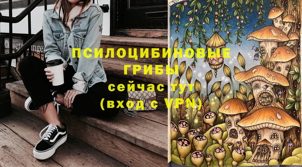 a pvp Володарск