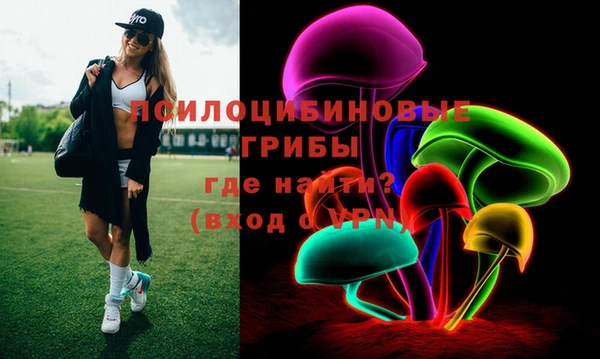 дурь Волоколамск