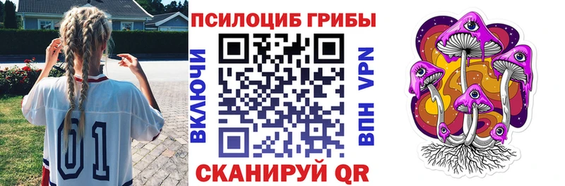 Купить где  Котлас  Галлюциногенные грибы Magic Shrooms 