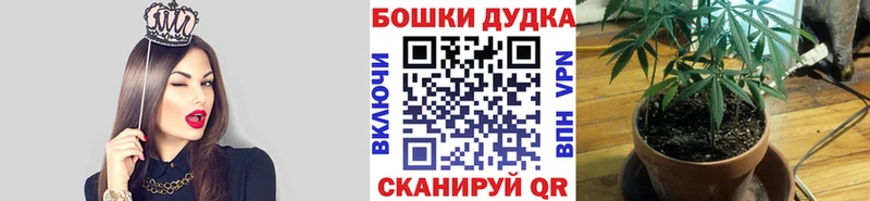 Шишки марихуана конопля  Купить где  Котлас 